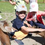 phoca_thumb_m_horeky  43 Fotogalerie
